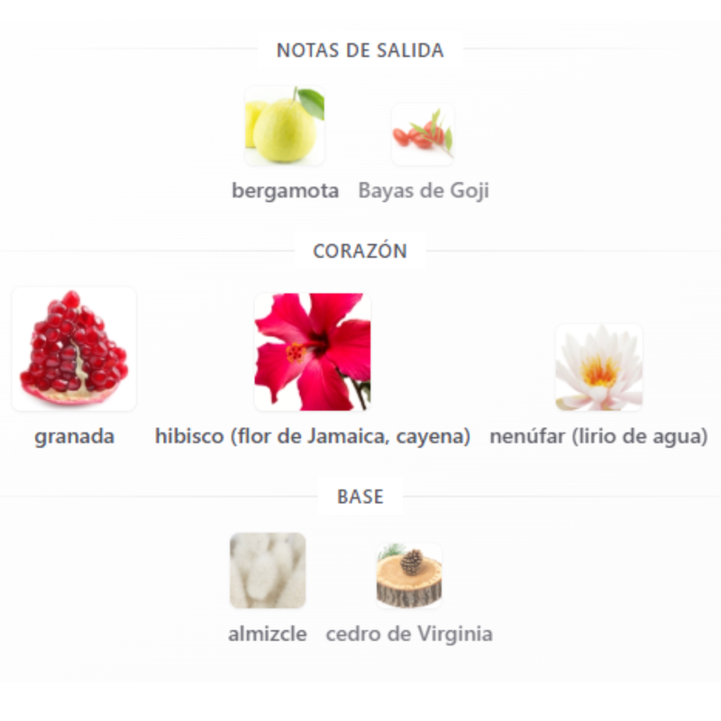 Omnia Coral By Bvlgari para Mujeres - Image 4