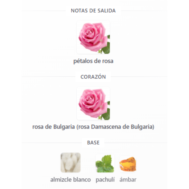 Rose Night By Montale Unisex - Image 4